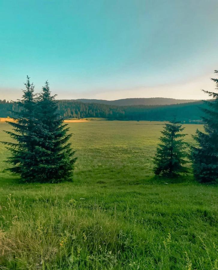 Alpin Apartments Влашич Екстер'єр фото