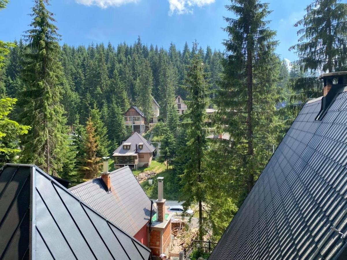 Alpin Apartments Влашич Екстер'єр фото