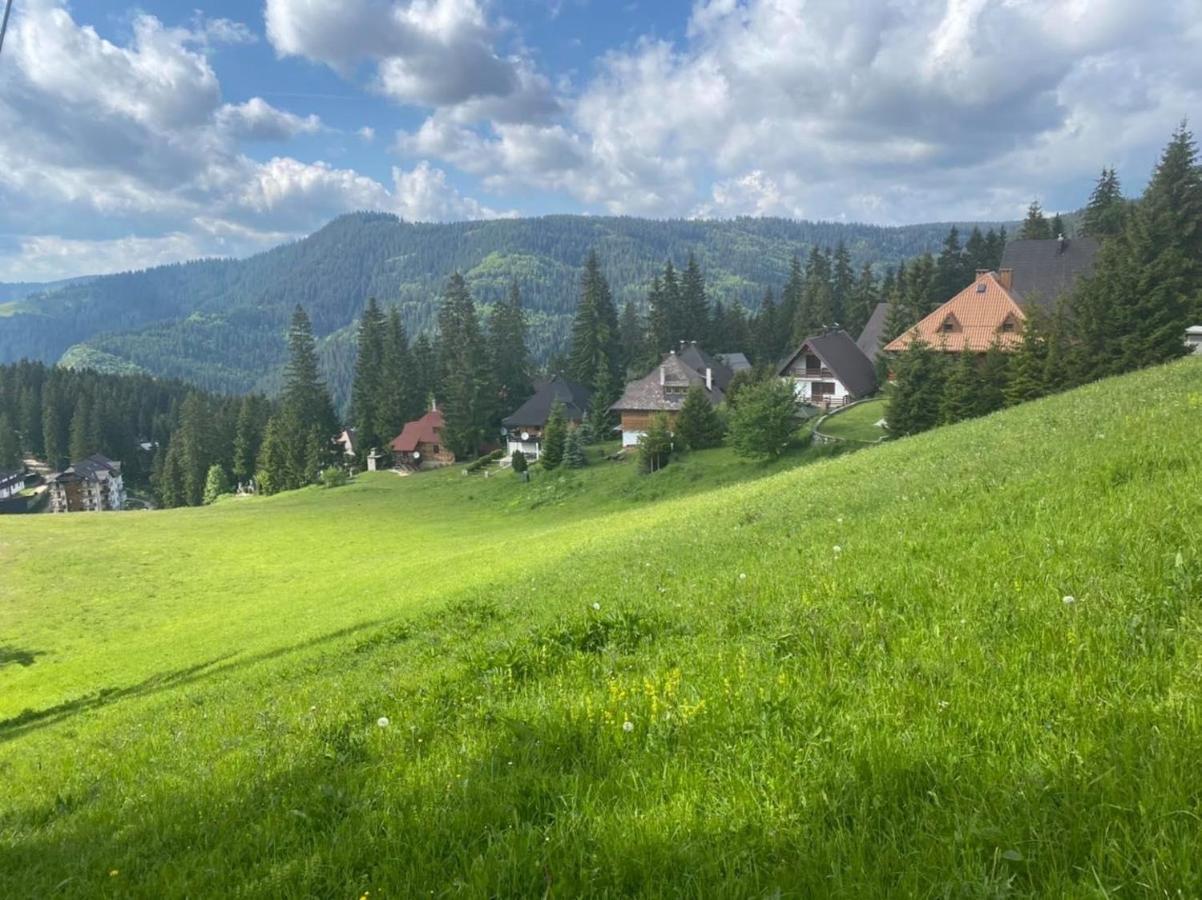 Alpin Apartments Влашич Екстер'єр фото