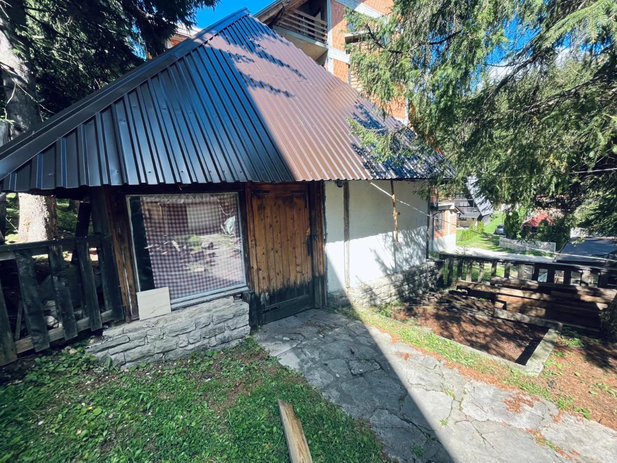 Alpin Apartments Влашич Екстер'єр фото