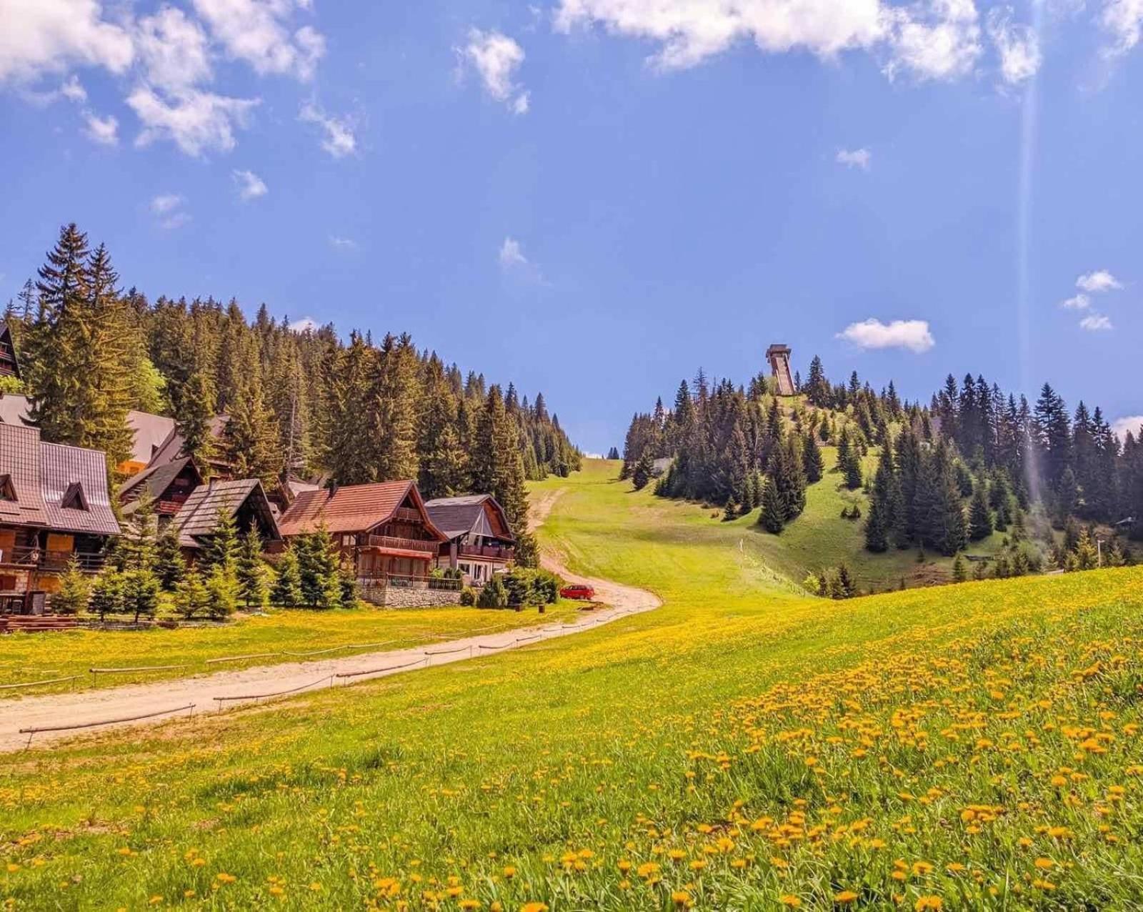 Alpin Apartments Влашич Екстер'єр фото